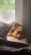 lew12001 Altpins Profile Picture
