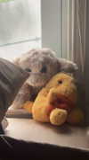 lew12001 Altpins Profile Picture