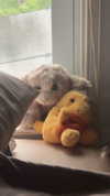 lew12001 Altpins Profile Picture