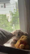 lew12001 Altpins Profile Picture