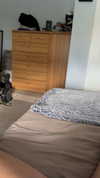 lew12001 Altpins Profile Picture