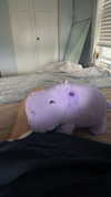 lew12001 Altpins Profile Picture