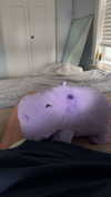 lew12001 Altpins Profile Picture