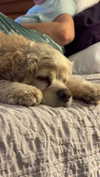 lew12001 Altpins Profile Picture