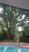 lew12001 Altpins Profile Picture