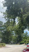 lew12001 Altpins Profile Picture
