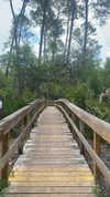 lew12001 Altpins Profile Picture