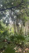lew12001 Altpins Profile Picture