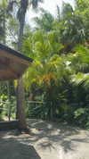 lew12001 Altpins Profile Picture