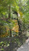 lew12001 Altpins Profile Picture