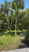 lew12001 Altpins Profile Picture