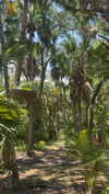 lew12001 Altpins Profile Picture
