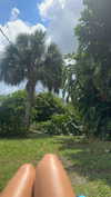 lew12001 Altpins Profile Picture