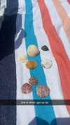 lew12001 Altpins Profile Picture