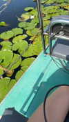 lew12001 Altpins Profile Picture