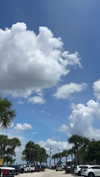 lew12001 Altpins Profile Picture