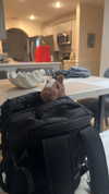 lew12001 Altpins Profile Picture