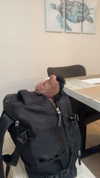 lew12001 Altpins Profile Picture