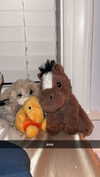 lew12001 Altpins Profile Picture