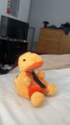 lew12001 Altpins Profile Picture