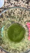 lew12001 Altpins Profile Picture