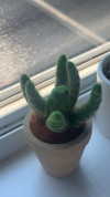 lew12001 Altpins Profile Picture