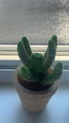 lew12001 Altpins Profile Picture