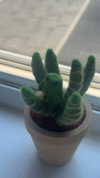 lew12001 Altpins Profile Picture
