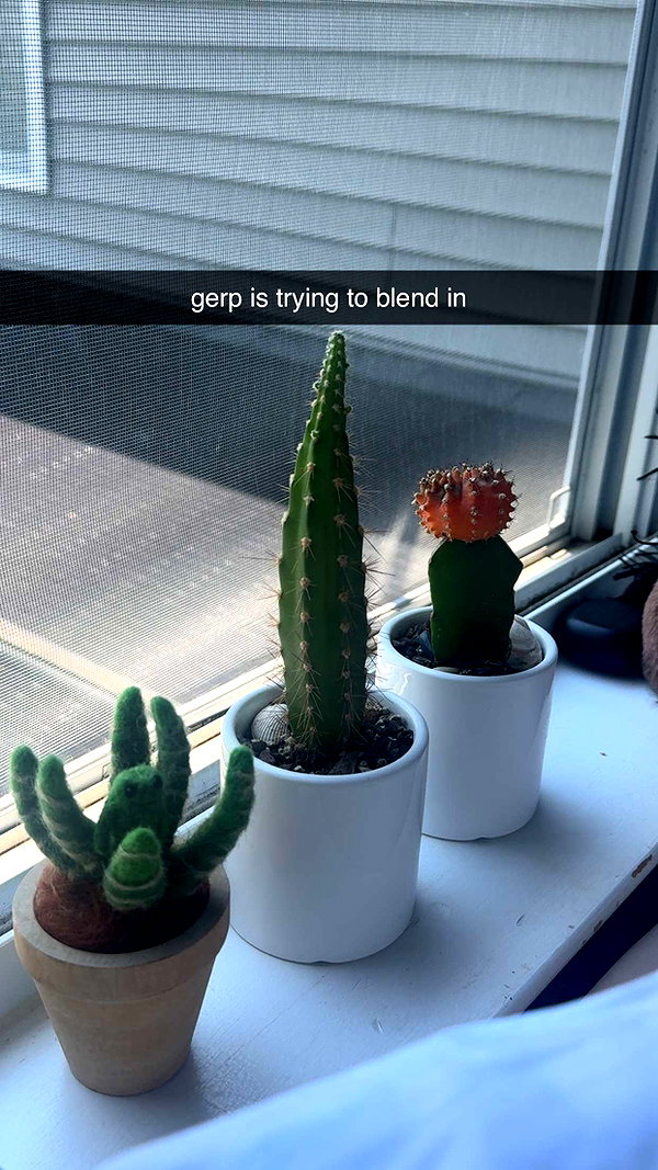 lew12001 snapchat image archive image