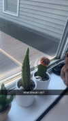lew12001 Altpins Profile Picture