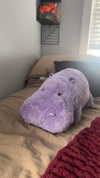 lew12001 Altpins Profile Picture