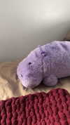 lew12001 Altpins Profile Picture