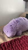 lew12001 Altpins Profile Picture