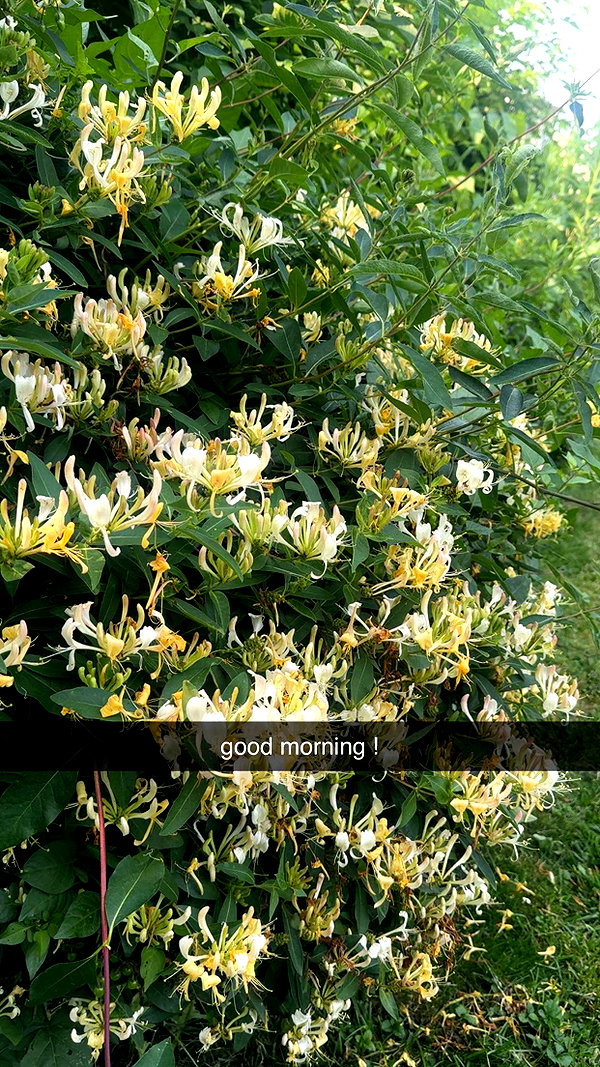 lew12001 snapchat image archive image
