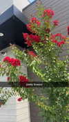 lew12001 Altpins Profile Picture