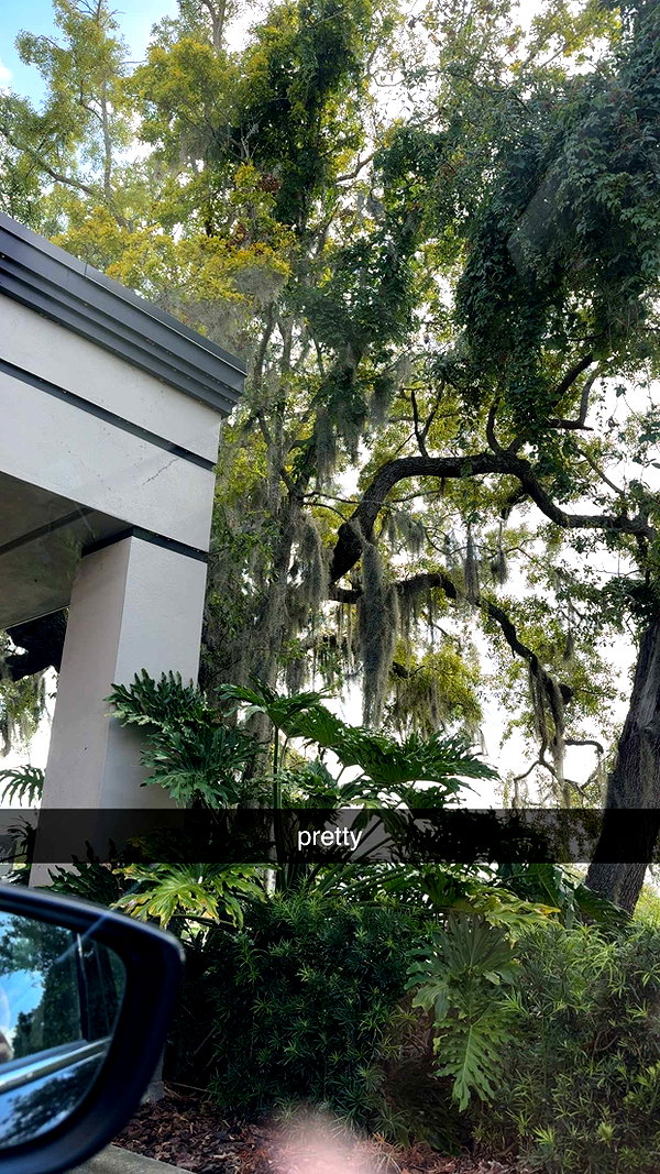 lew12001 snapchat image archive image