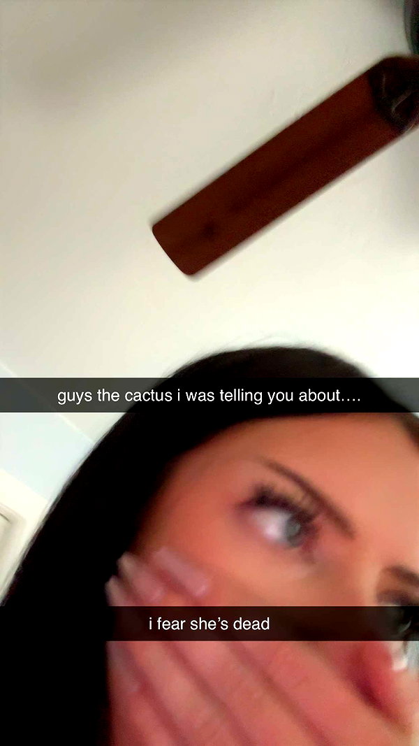 lew12001 snapchat image archive image
