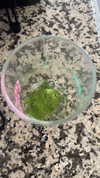 lew12001 Altpins Profile Picture