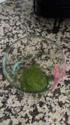 lew12001 Altpins Profile Picture