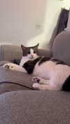 lew12001 Altpins Profile Picture