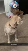 lew12001 Altpins Profile Picture