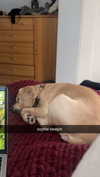lew12001 Altpins Profile Picture
