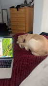 lew12001 Altpins Profile Picture