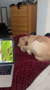 lew12001 Altpins Profile Picture