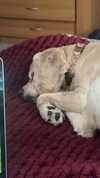 lew12001 Altpins Profile Picture