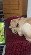 lew12001 Altpins Profile Picture