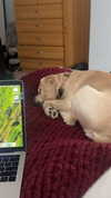 lew12001 Altpins Profile Picture