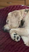 lew12001 Altpins Profile Picture