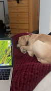 lew12001 Altpins Profile Picture