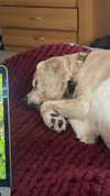 lew12001 Altpins Profile Picture